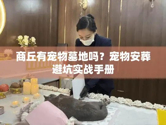 商丘有宠物墓地吗?宠物安葬避坑实战手册 商丘有宠物墓地吗?宠物安葬避坑实战手册