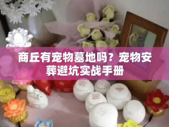 商丘有宠物墓地吗?宠物安葬避坑实战手册 商丘有宠物墓地吗?宠物安葬避坑实战手册