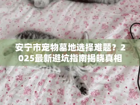 安宁市宠物墓地选择难题？2025最新避坑指南揭晓真相