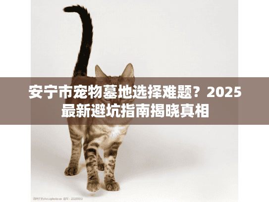 安宁市宠物墓地选择难题？2025最新避坑指南揭晓真相