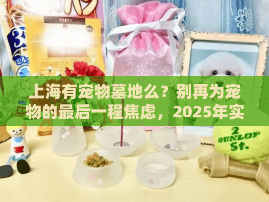 上海有宠物墓地么？别再为宠物的最后一程焦虑，2025年实用全攻略