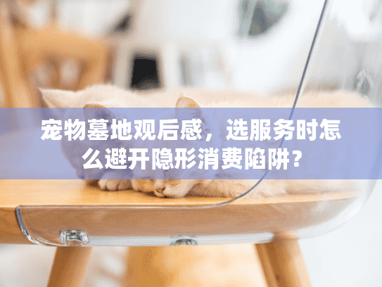 宠物墓地观后感，选服务时怎么避开隐形消费陷阱？