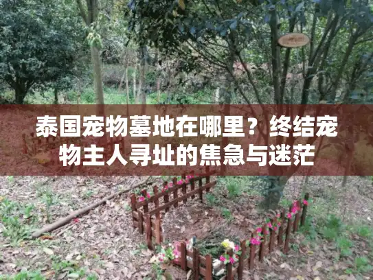 泰国宠物墓地在哪里？终结宠物主人寻址的焦急与迷茫