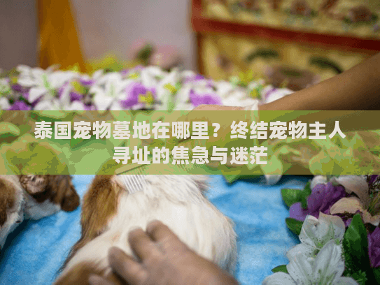 泰国宠物墓地在哪里？终结宠物主人寻址的焦急与迷茫