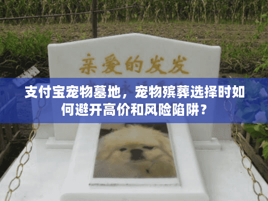 支付宝宠物墓地，宠物殡葬选择时如何避开高价和风险陷阱？