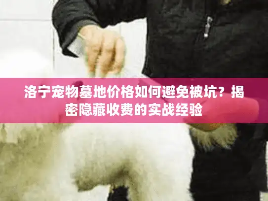 洛宁宠物墓地价格如何避免被坑？揭密隐藏收费的实战经验