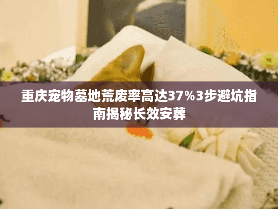 重庆宠物墓地荒废率高达37%3步避坑指南揭秘长效安葬