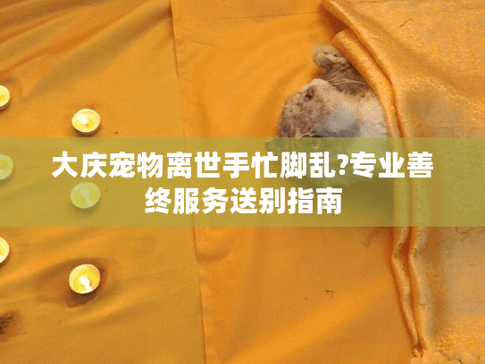 大庆宠物离世手忙脚乱?专业善终服务送别指南