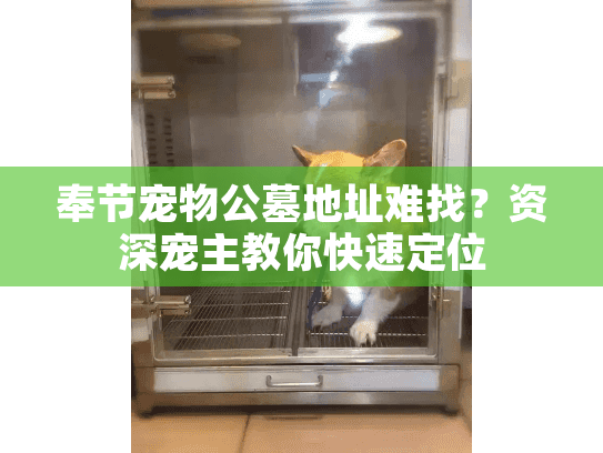 奉节宠物公墓地址难找？资深宠主教你快速定位