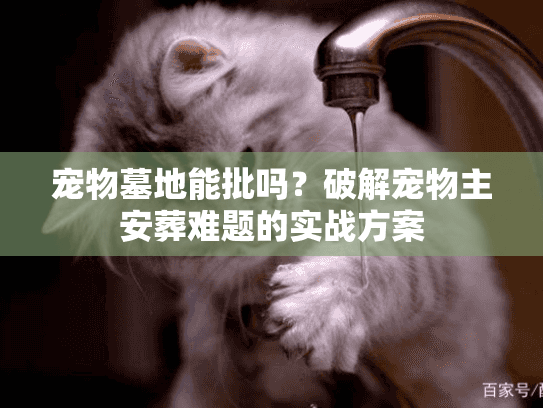 宠物墓地能批吗？破解宠物主安葬难题的实战方案