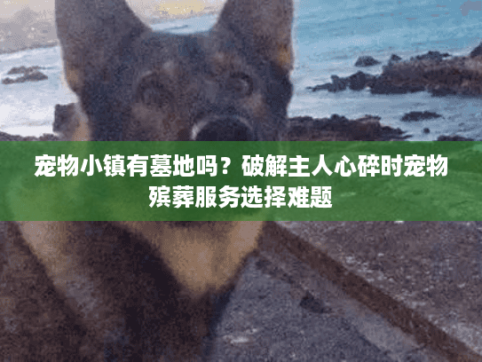 宠物小镇有墓地吗?破解主人心碎时宠物殡葬服务选择难题 宠物小镇有墓地吗?破解主人心碎时宠物殡葬服务选择难题