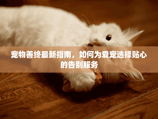 宠物善终最新指南,如何为爱宠选择贴心的告别服务 宠物善终最新指南,如何为爱宠选择贴心的告别服务