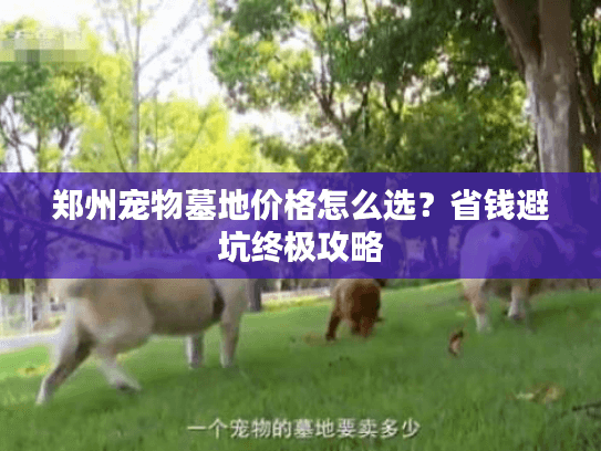 郑州宠物墓地价格怎么选？省钱避坑终极攻略