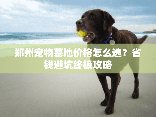 郑州宠物墓地价格怎么选？省钱避坑终极攻略