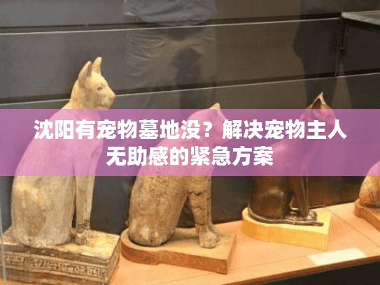 沈阳有宠物墓地没？解决宠物主人无助感的紧急方案