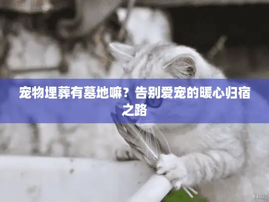 宠物埋葬有墓地嘛？告别爱宠的暖心归宿之路