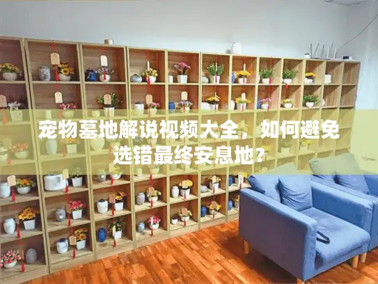 宠物墓地解说视频大全，如何避免选错最终安息地？