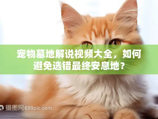 宠物墓地解说视频大全，如何避免选错最终安息地？