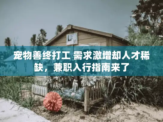 宠物善终打工 需求激增却人才稀缺，兼职入行指南来了