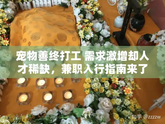 宠物善终打工 需求激增却人才稀缺，兼职入行指南来了