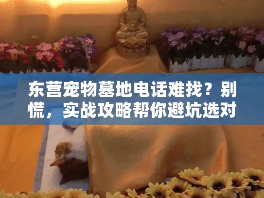 东营宠物墓地电话难找？别慌，实战攻略帮你避坑选对服务！
