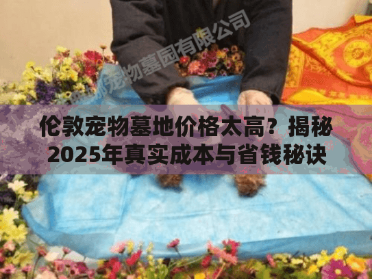 伦敦宠物墓地价格太高？揭秘2025年真实成本与省钱秘诀