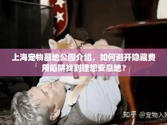 上海宠物墓地公园介绍，如何避开隐藏费用陷阱找到理想安息地？
