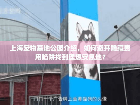 上海宠物墓地公园介绍，如何避开隐藏费用陷阱找到理想安息地？