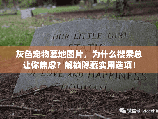 灰色宠物墓地图片，为什么搜索总让你焦虑？解锁隐藏实用选项！