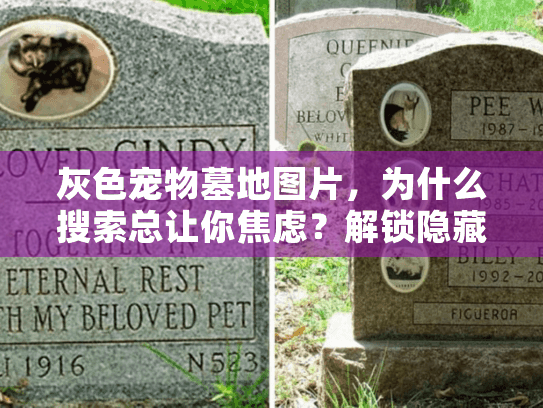 灰色宠物墓地图片，为什么搜索总让你焦虑？解锁隐藏实用选项！