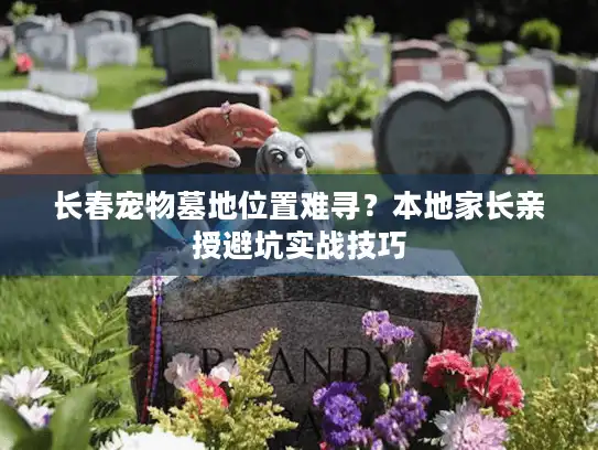 长春宠物墓地位置难寻？本地家长亲授避坑实战技巧