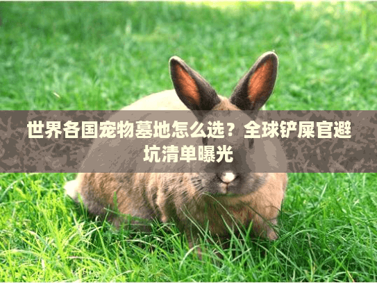 世界各国宠物墓地怎么选?全球铲屎官避坑清单曝光 世界各国宠物墓地怎么选?全球铲屎官避坑清单曝光