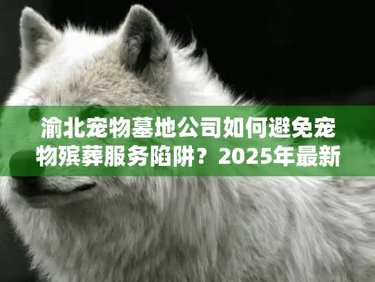 渝北宠物墓地公司如何避免宠物殡葬服务陷阱？2025年最新选择秘诀大公开
