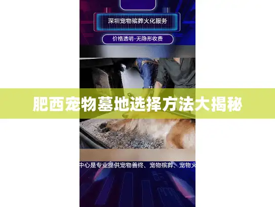 肥西宠物墓地选择方法大揭秘