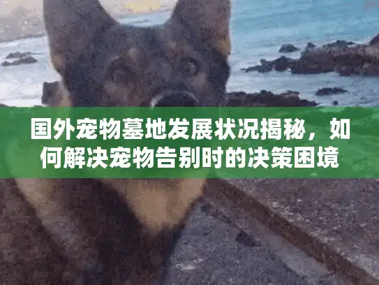 国外宠物墓地发展状况揭秘，如何解决宠物告别时的决策困境？