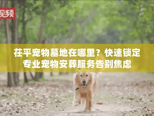 茌平宠物墓地在哪里？快速锁定专业宠物安葬服务告别焦虑