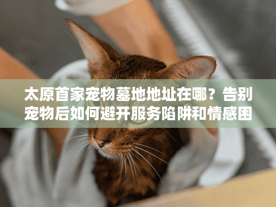 太原首家宠物墓地地址在哪？告别宠物后如何避开服务陷阱和情感困扰