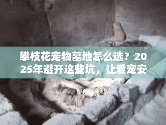 攀枝花宠物墓地怎么选？2025年避开这些坑，让爱宠安息无忧