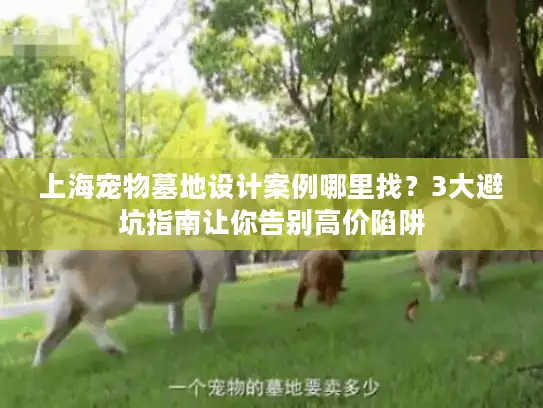 上海宠物墓地设计案例哪里找?3大避坑指南让你告别高价陷阱 上海宠物墓地设计案例哪里找?3大避坑指南让你告别高价陷阱