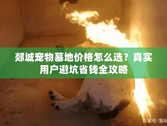 郯城宠物墓地价格怎么选？真实用户避坑省钱全攻略