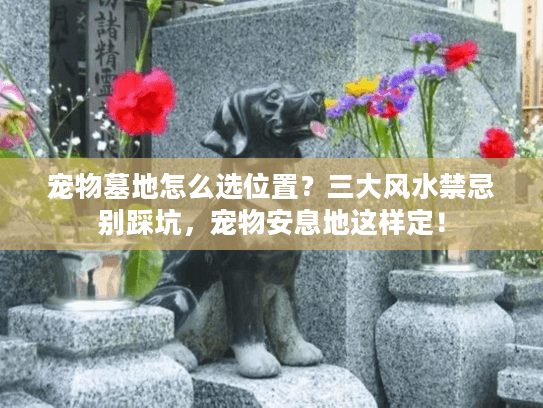 宠物墓地怎么选位置?三大风水禁忌别踩坑,宠物安息地这样定! 宠物墓地怎么选位置?三大风水禁忌别踩坑,宠物安息地这样定!
