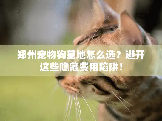郑州宠物狗墓地怎么选？避开这些隐藏费用陷阱！