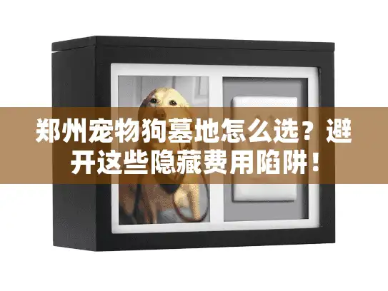 郑州宠物狗墓地怎么选？避开这些隐藏费用陷阱！