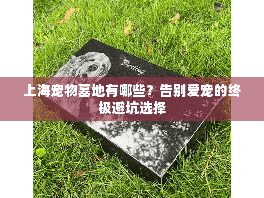 上海宠物墓地有哪些？告别爱宠的终极避坑选择