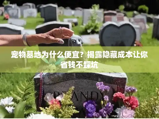 宠物墓地为什么便宜？揭露隐藏成本让你省钱不踩坑
