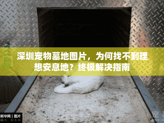 深圳宠物墓地图片，为何找不到理想安息地？终极解决指南