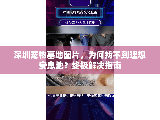 深圳宠物墓地图片，为何找不到理想安息地？终极解决指南