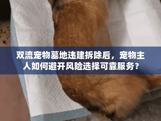 双流宠物墓地违建拆除后,宠物主人如何避开风险选择可靠服务? 双流宠物墓地违建拆除后,宠物主人如何避开风险选择可靠服务?