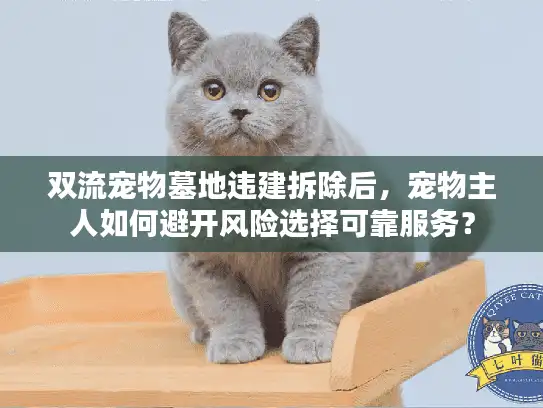 双流宠物墓地违建拆除后,宠物主人如何避开风险选择可靠服务? 双流宠物墓地违建拆除后,宠物主人如何避开风险选择可靠服务?