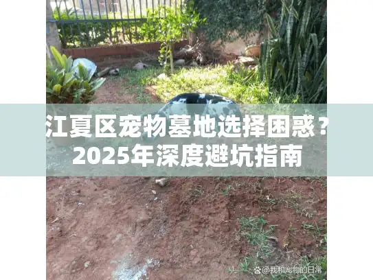 江夏区宠物墓地选择困惑?2025年深度避坑指南 江夏区宠物墓地选择困惑?2025年深度避坑指南